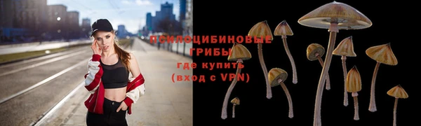 мдпв Корсаков