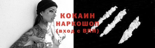 мдпв Корсаков