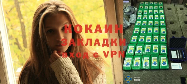 стафф Коряжма