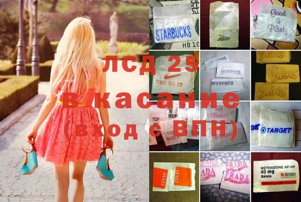 стафф Коряжма