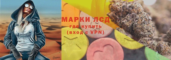 стафф Коряжма
