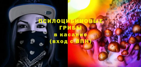 стафф Коряжма
