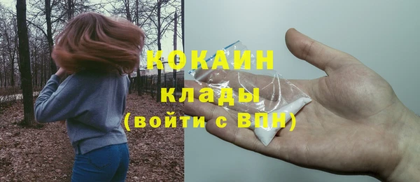 стафф Коряжма